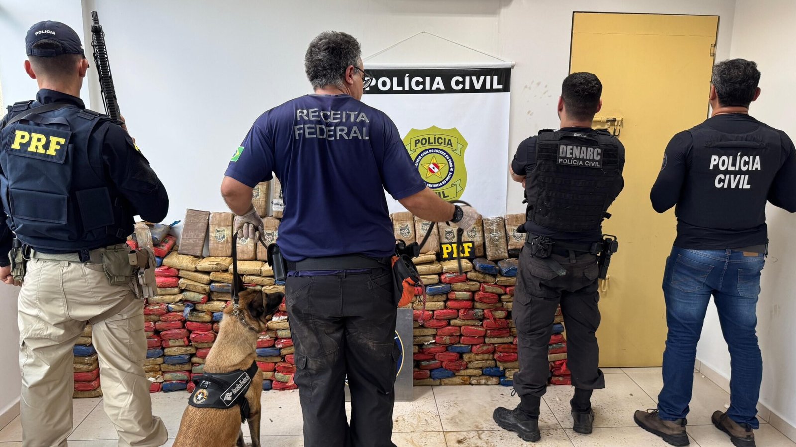 policia-apreende-310-kg-de-drogas-em-fundo-secreto-de-caminhao-no-para