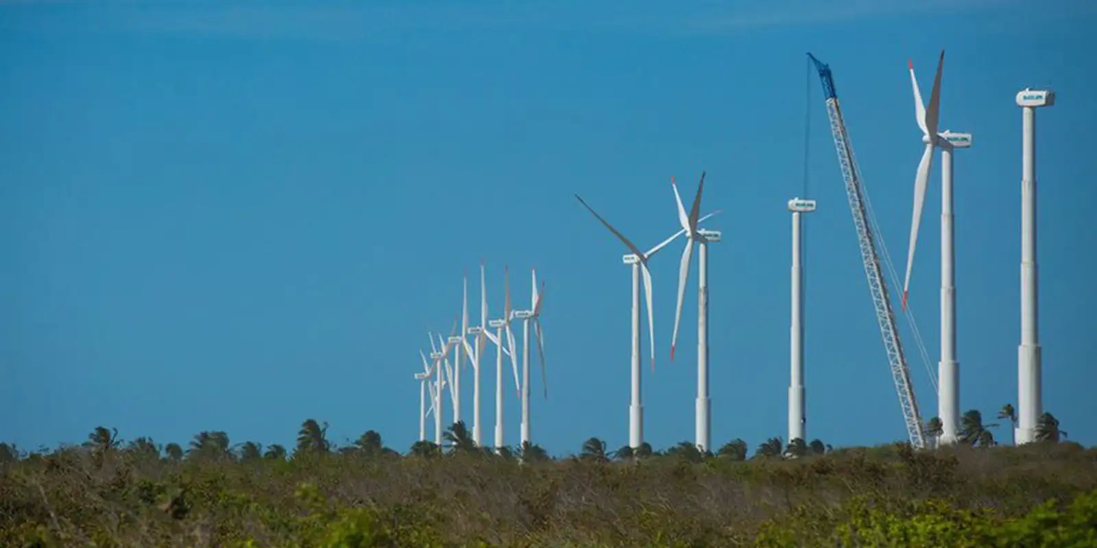 bndes-lanca-edital-para-impulsionar-desenvolvimento-sustentavel