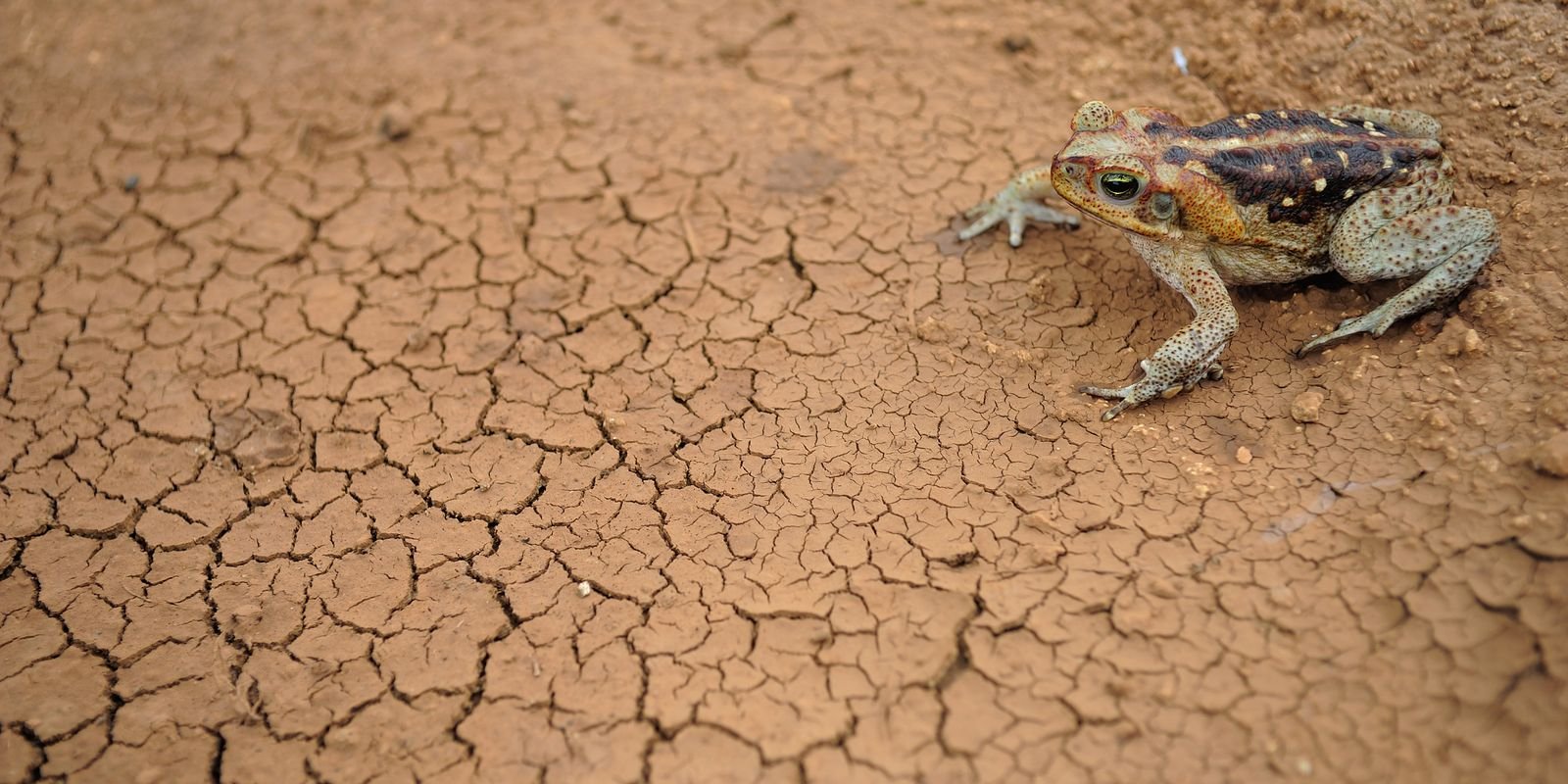 doze-cidades-em-estado-de-emergencia-por-excesso-ou-falta-de-chuva