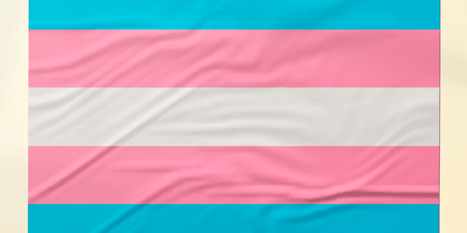 pesquisa-recomenda-acoes-de-prevencao-ao-hpv-focadas-em-pessoas-trans