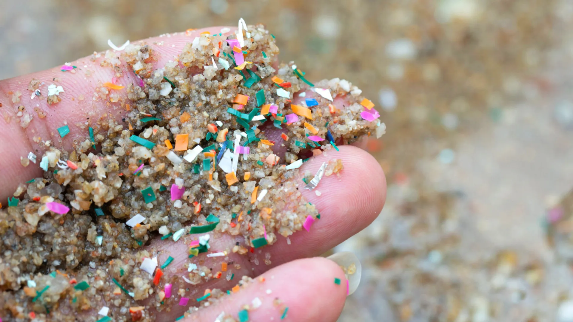 microplasticos-podem-prejudicar-memoria-e-funcoes-cerebrais,-diz-estudo