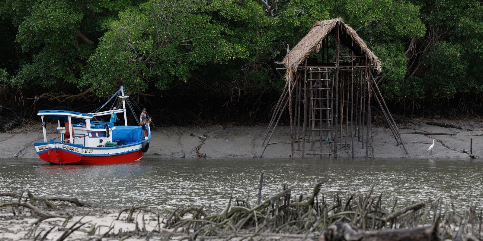 cop30-coloca-amazonia-e-sustentabilidade-no-centro-do-debate