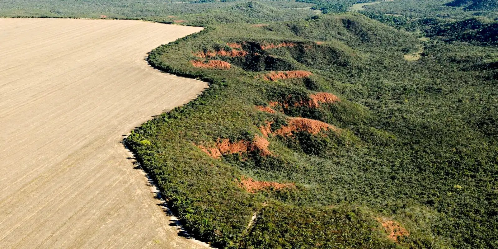 cerrado-perdeu-249-mil-hectares-de-area-de-rios-e-lagos-em-40-anos