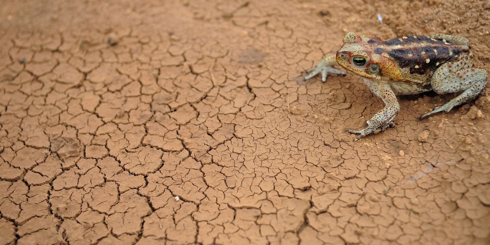 governo-federal-reconhece-a-situacao-de-emergencia-em-54-cidades