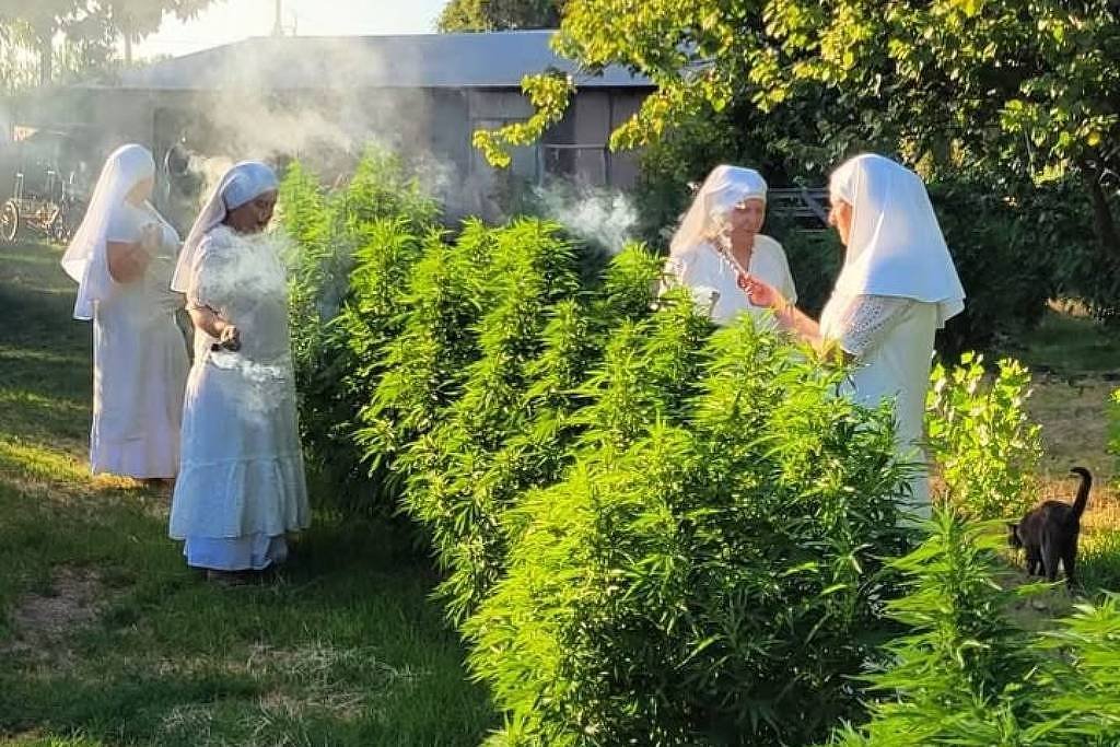 quem-sao-as-freiras-maconheiras-que-inspiraram-paul-thomas-anderson?