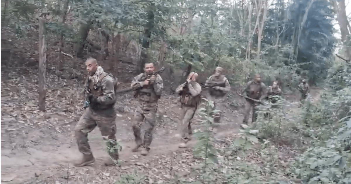 bope-faz-novas-buscas-por-traficante-sardinha,-do-cv,-no-rio