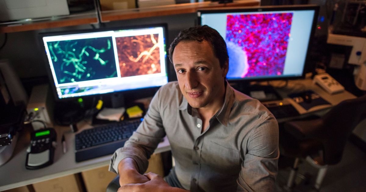 cientista-explica-como-chumbo-influenciou-na-evolucao-do-cerebro-humano