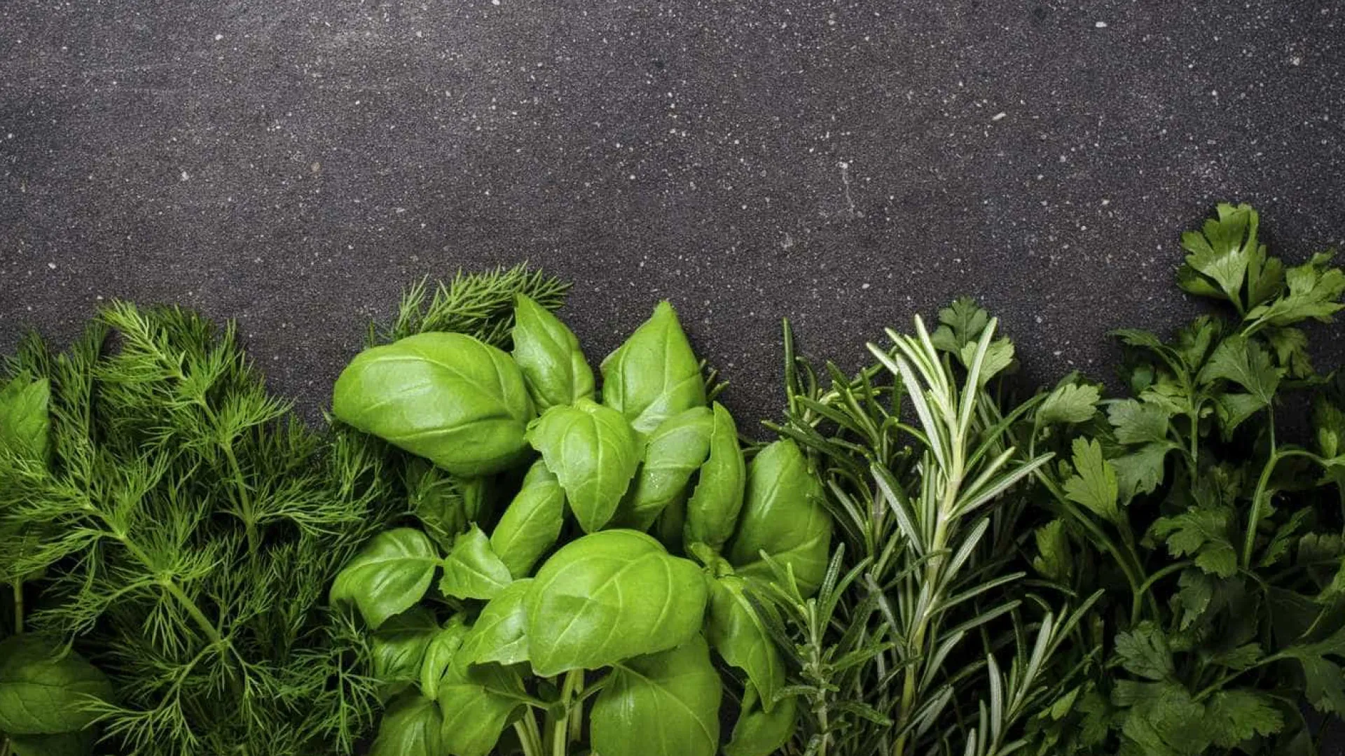 como-conservar-ervas-frescas-por-mais-tempo-(sem-deixa-las-murchar)