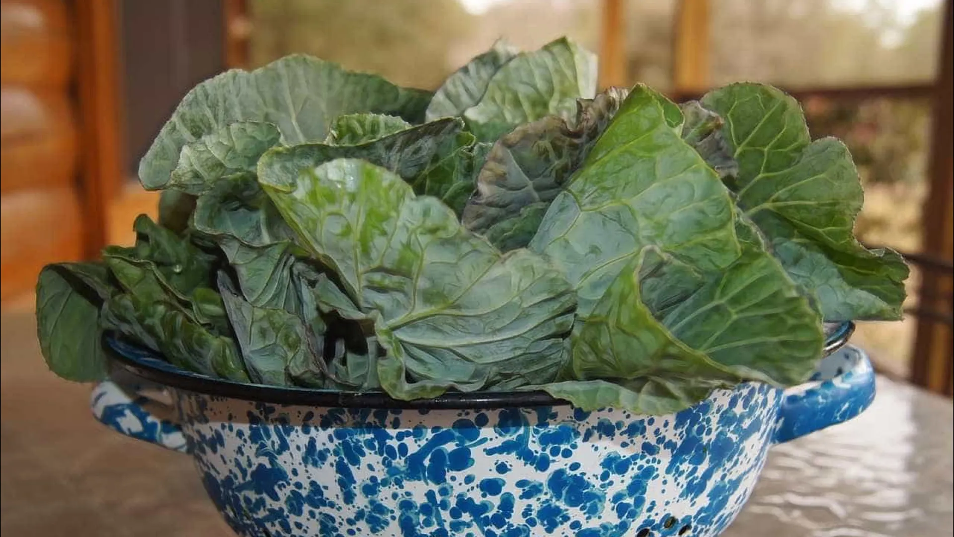 idosos-intoxicados-com-‘falsa-couve’-em-mg-recebem-alta-apos-13-dias