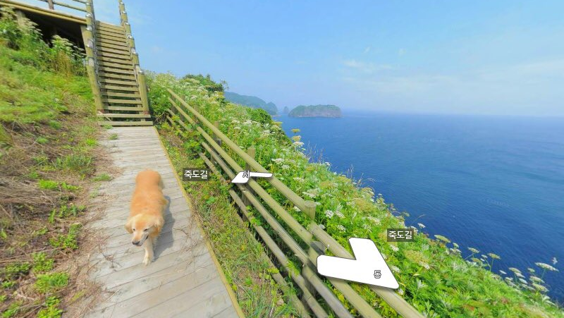 golden-viraliza-apos-seguir-fotografo-e-aparecer-em-fotos-do-google-stret