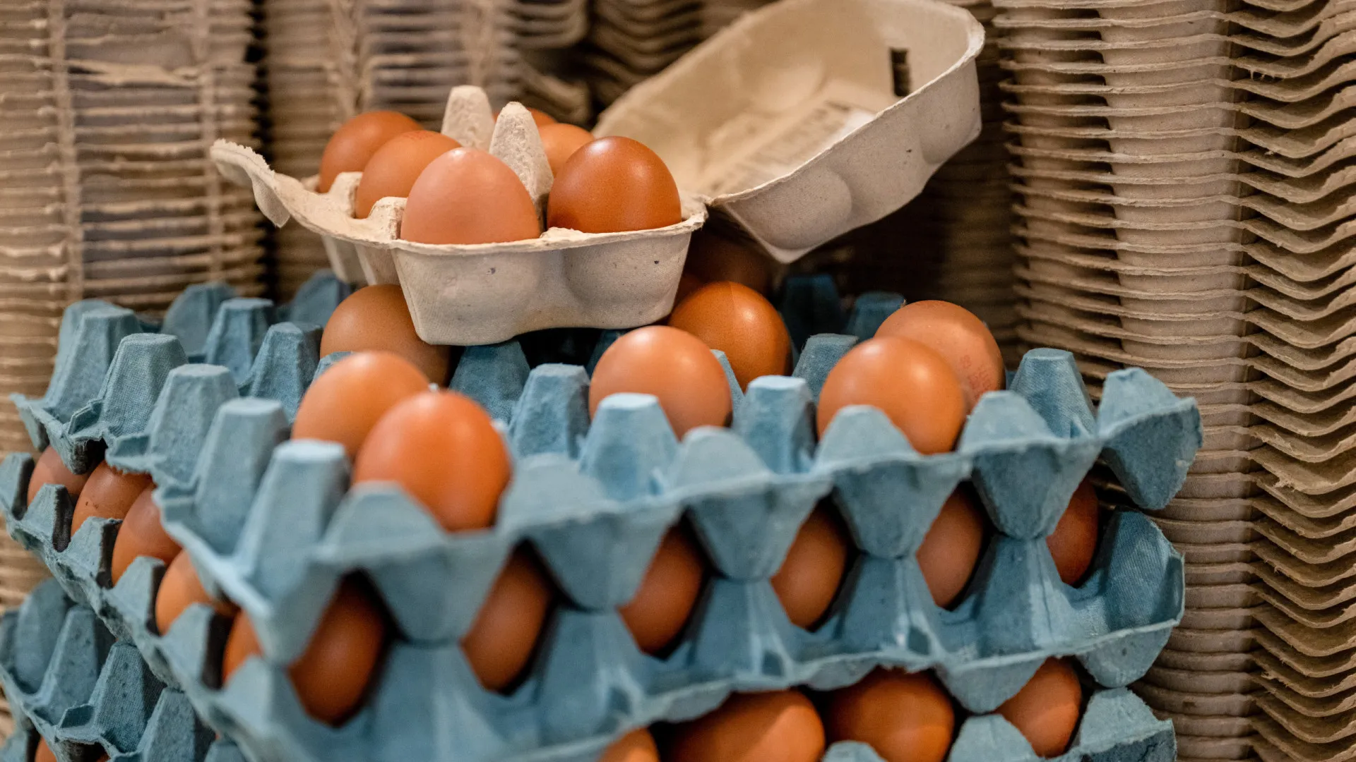 como-evitar-essa-doenca-encontrada-em-alimentos-comuns?