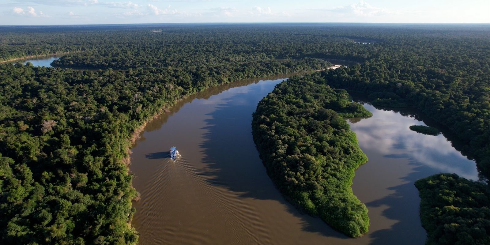 amazonia-legal-teve-uma-reducao-de-11,08%-no-desmatamento-em-um-ano