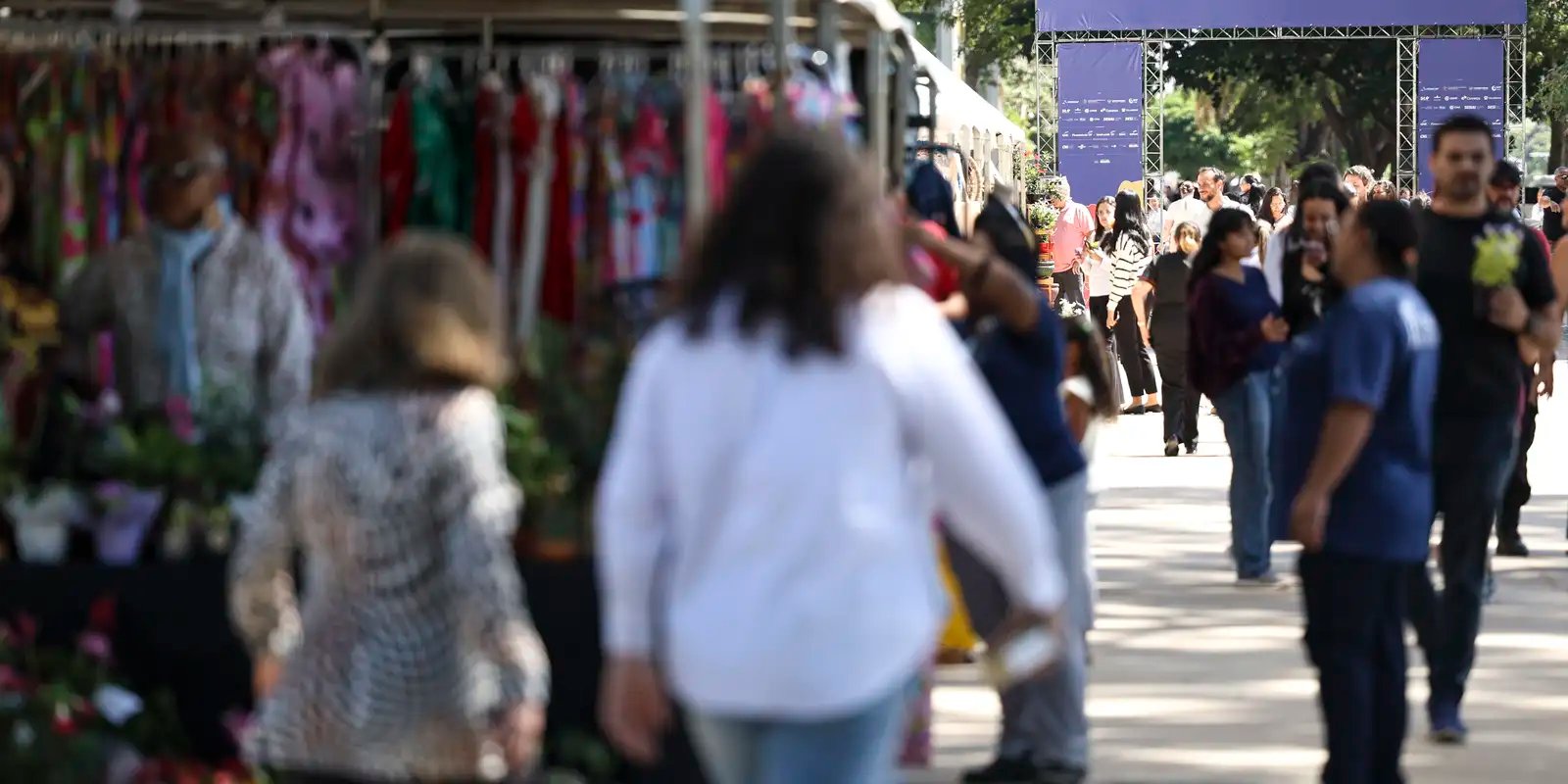 desemprego-no-trimestre-cai-para-menor-taxa-da-serie-historica