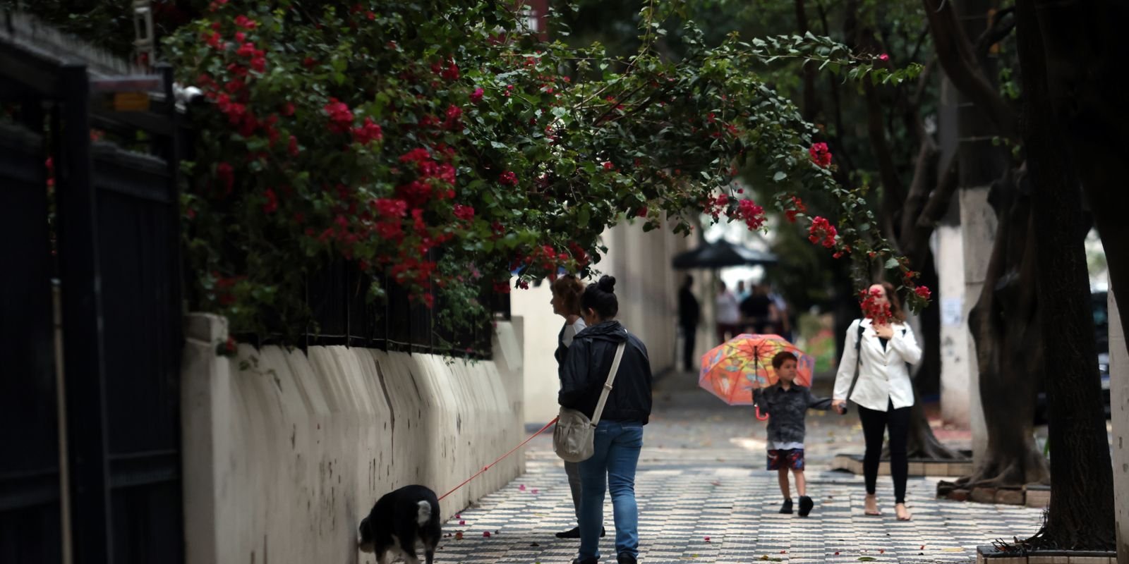semana-de-chuva-no-norte,-centro-oeste-e-sudeste