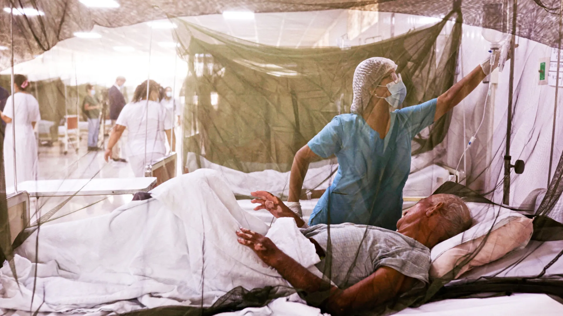 febre-do-oropouche:-sintomas-que-preocupam-o-brasil