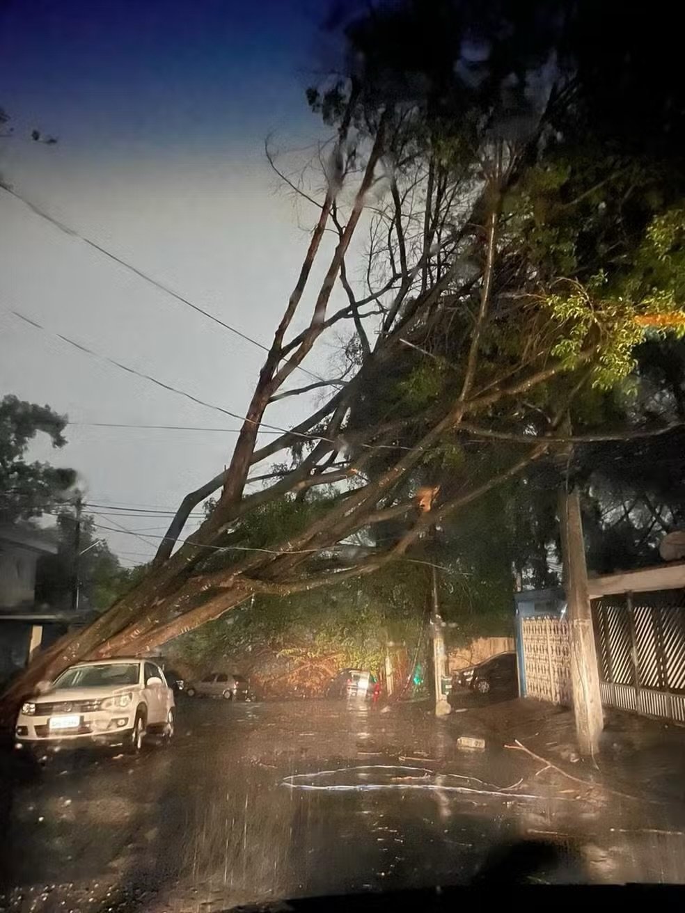 sao-paulo-deve-ter-noite-estavel,-mas-ventos-continuam-preocupando
