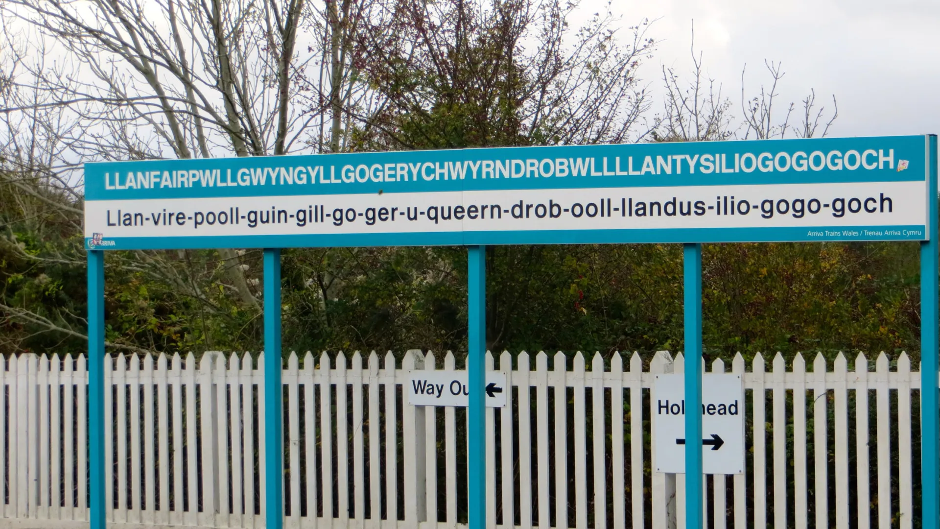 as-maiores-palavras-do-mundo-(e-o-que-cada-uma-significa)