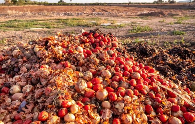projeto-torna-crime-o-descarte-de-alimentos-aptos-para-consumo