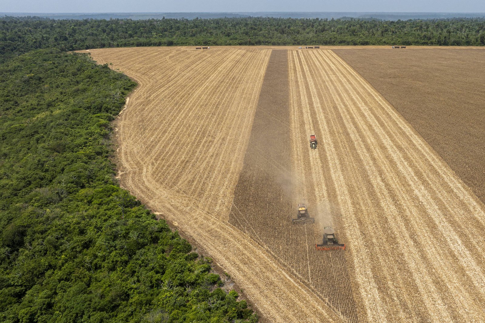 agro-fica-com-73%-da-verba-federal-para-adaptacao-ao-clima-no-brasil