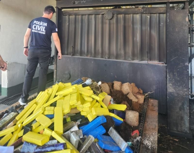tres-toneladas-de-drogas-sao-incineradas-pela-policia-em-minas-gerais
