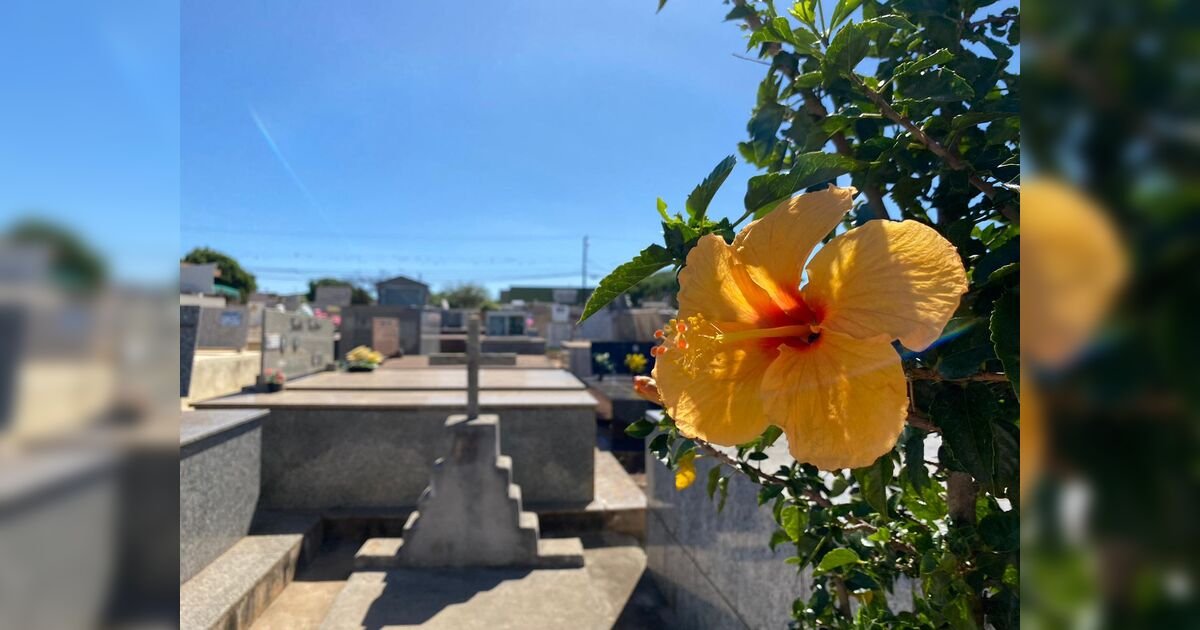 confira-os-falecimentos-deste-domingo-(30)-em-apucarana-e-regiao