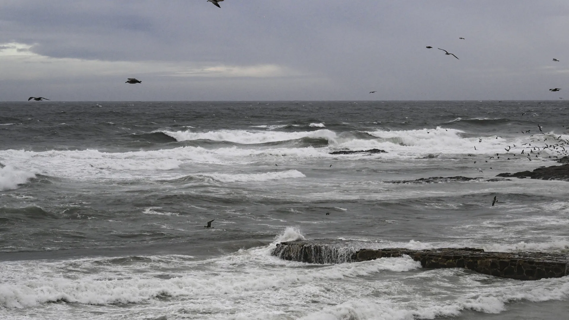 sinais-da-natureza-que-profetizam-terremotos-e-outros-desastres-naturais