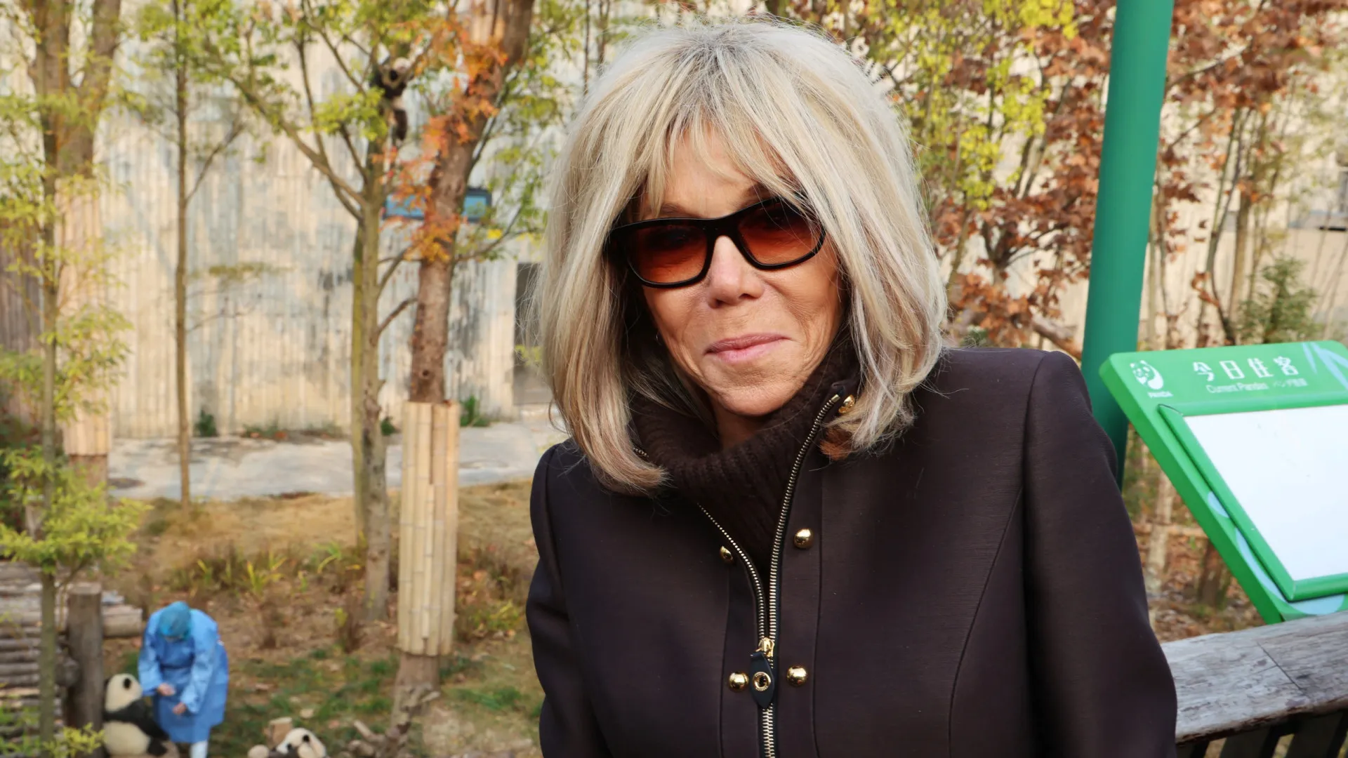 “nojentas”?-porta-voz-do-governo-frances-pede:-“deixem-brigitte-em-paz”