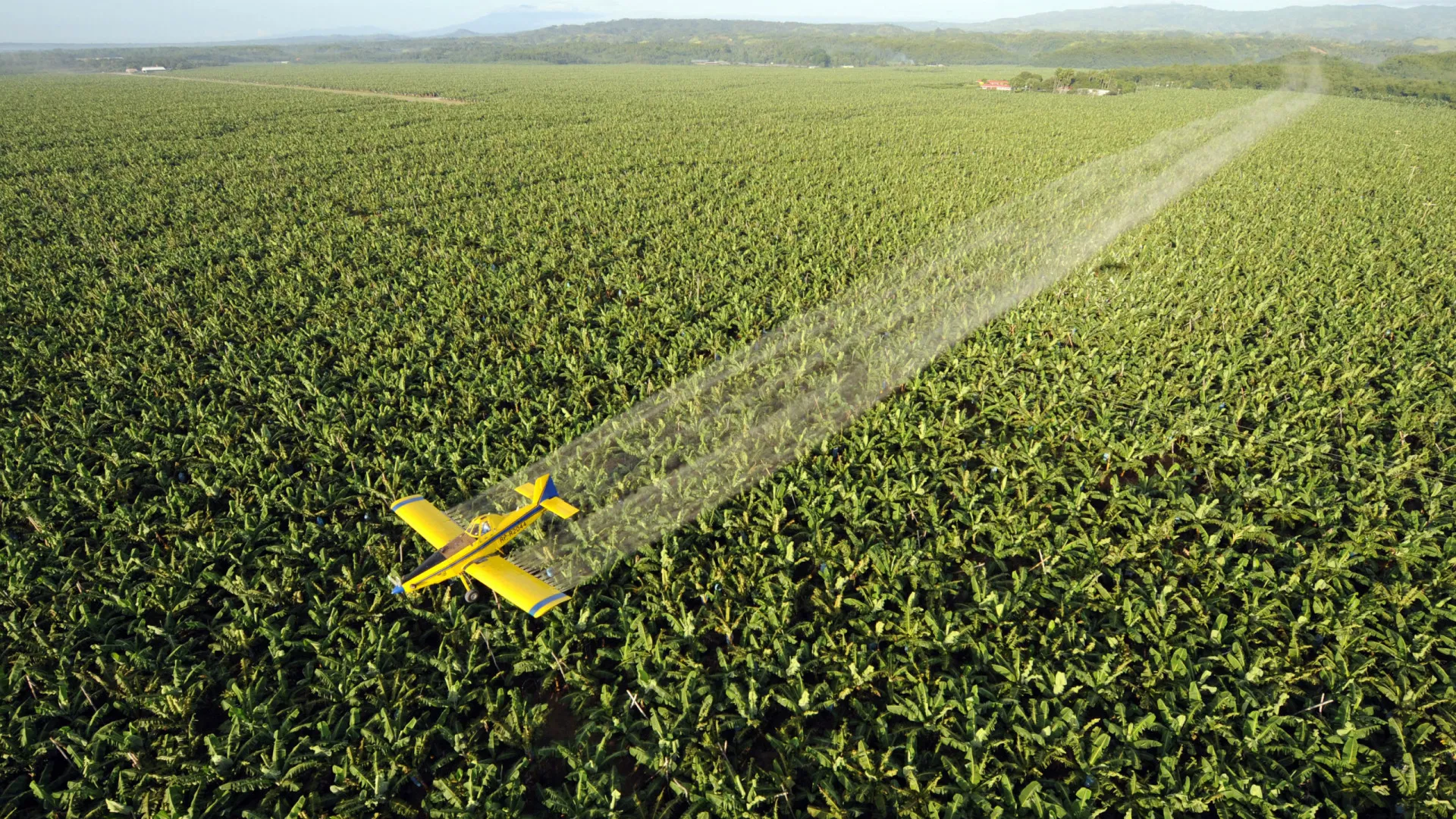 paises-que-mais-utilizam-pesticidas