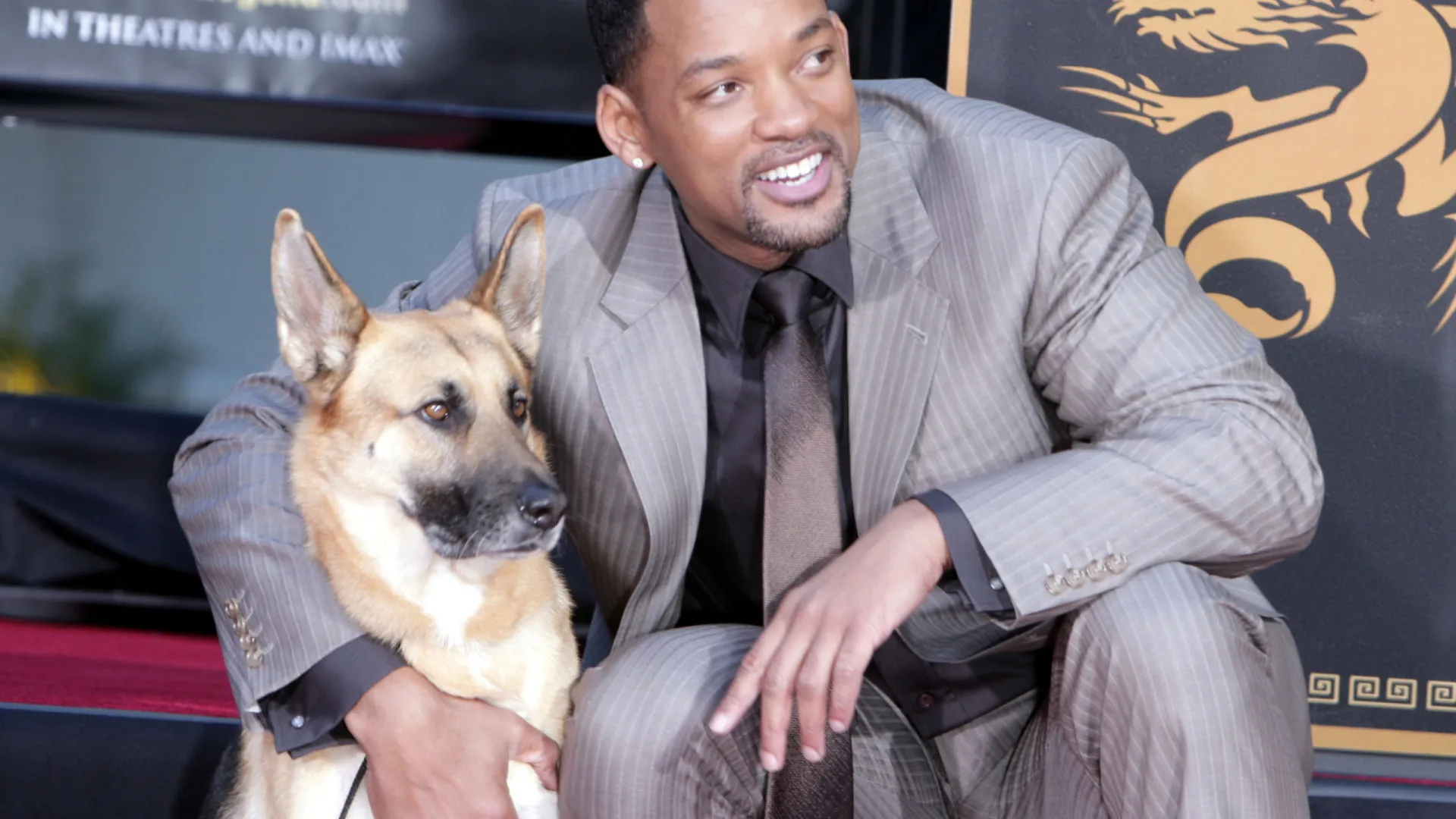 atores-que-se-apaixonaram-pelos-animais-com-os-quais-contracenaram-(alguns-ate-adotaram!)