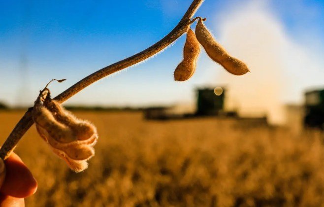 credito-restrito:-bancos-cautelosos-impactam-empresas-em-crise