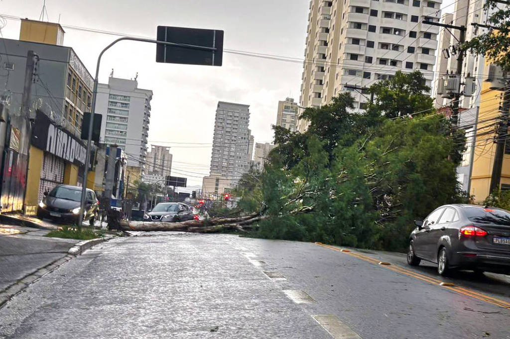 avanco-de-frente-fria-deve-trazer-mais-chuva-para-sp-nesta-sexta-feira-(2)