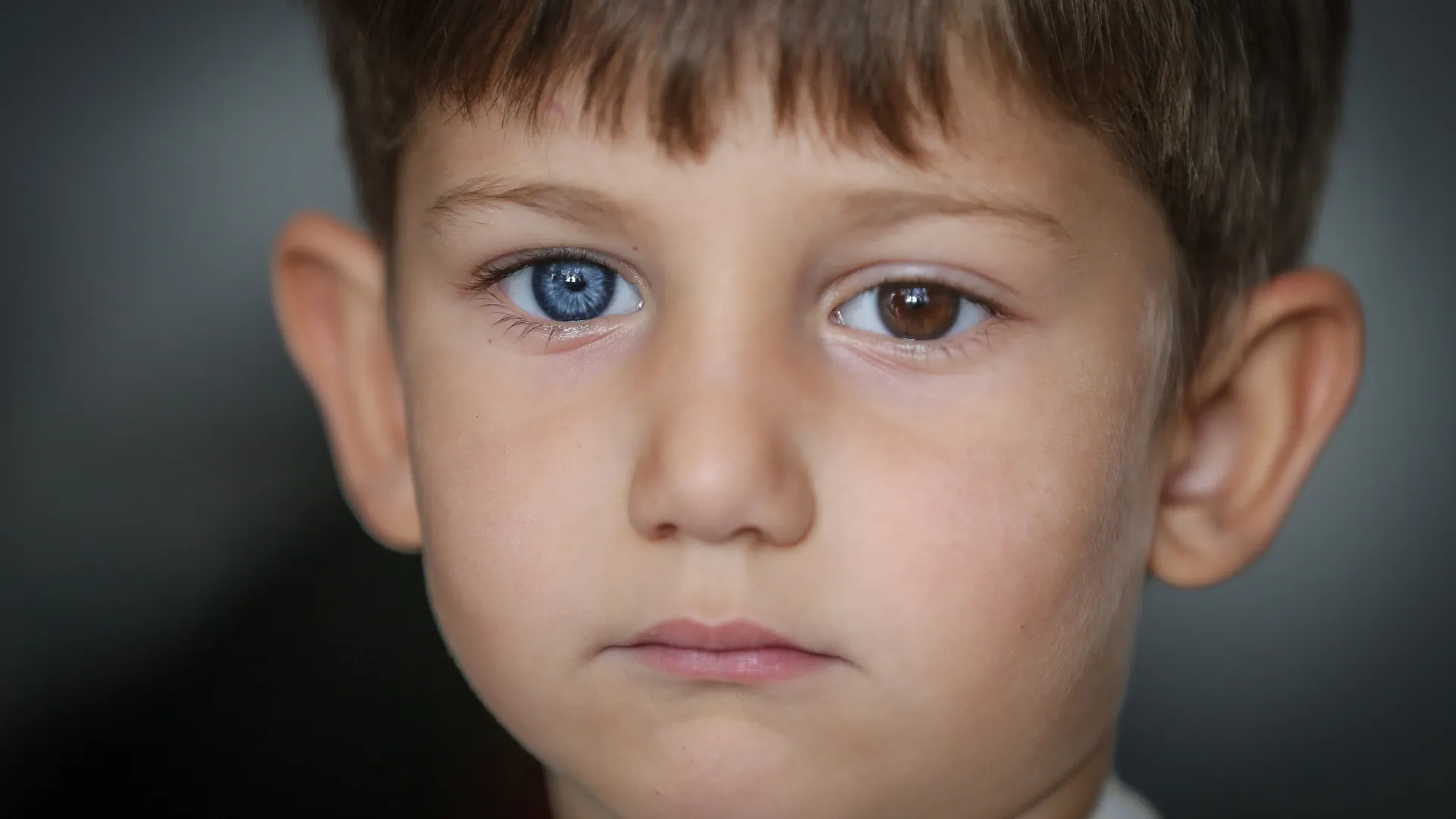 a-ciencia-por-tras-dos-olhos-verdes-e-azuis