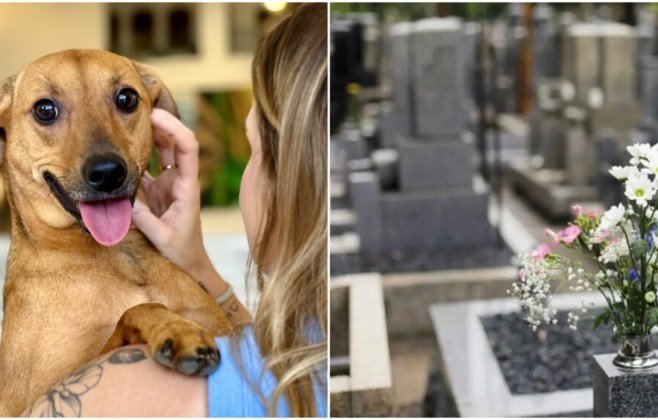 sp-inova:-pets-agora-podem-ser-sepultados-em-jazigos-familiares