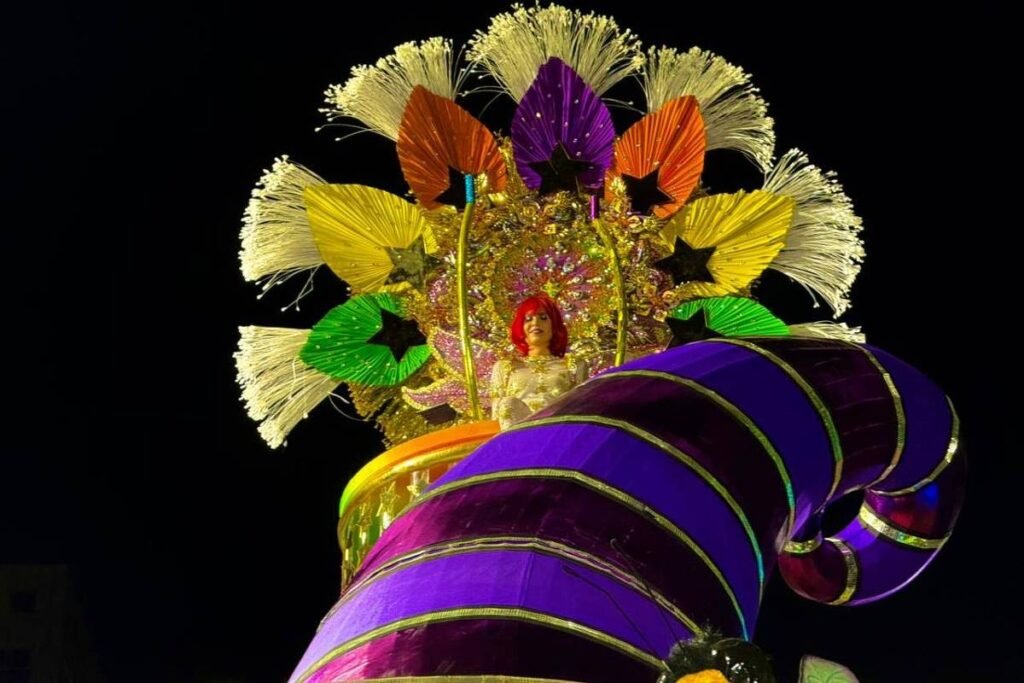 ‘rita-lee-com-certeza-esta-muito-feliz’,-diz-mel-lisboa-sobre-desfile-da-mocidade-em-homenagem-a-cantora