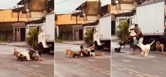 ex-lutador-imobiliza-pit-bull-com-mata-leao-para-salvar-pinscher-em-sao-vicente,-no-litoral-de-sp