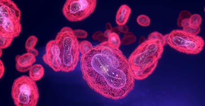 oms-identifica-nova-recombinacao-do-virus-da-mpox-apos-casos-no-reino-unido-e-na-india