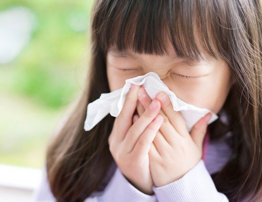 estudo-da-usp-aponta-que-rinovirus-pode-permanecer-oculto-nas-amigdalas-e-favorecer-novos-surtos