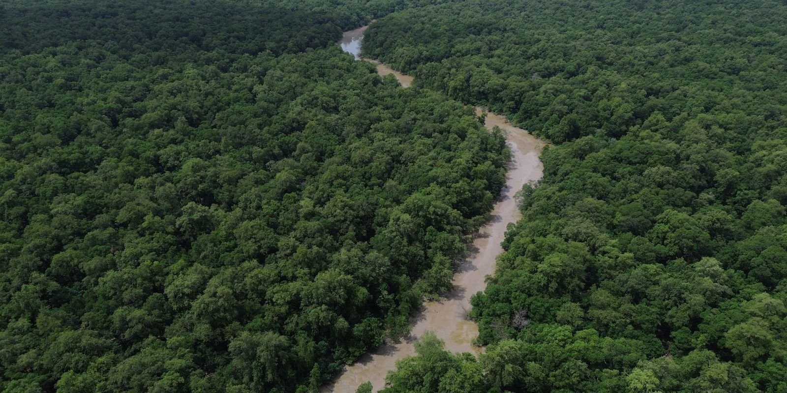 consorcio-da-amazonia-legal-debate-politicas-publicas
