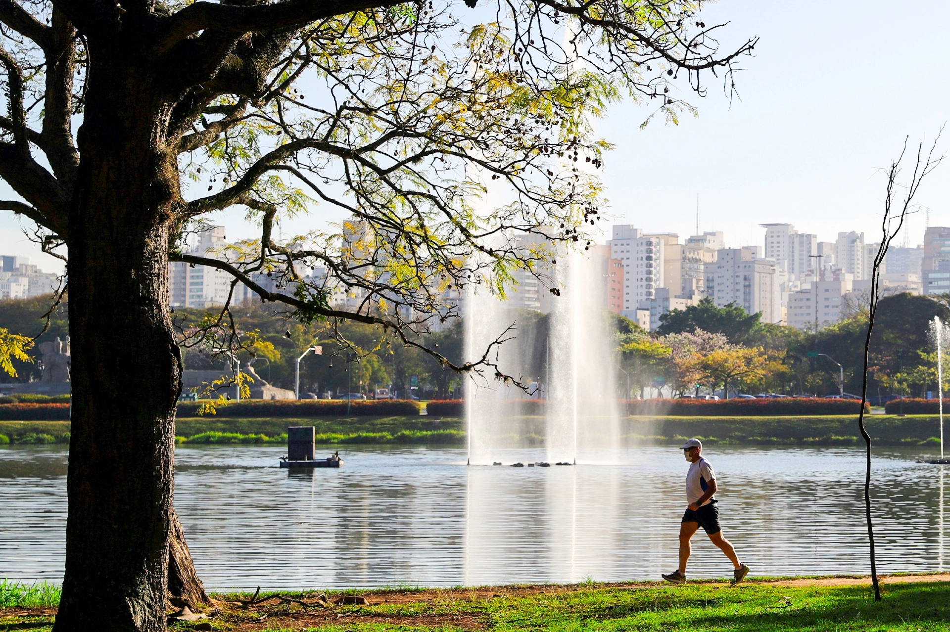 violencia-e-inseguranca-assombram-o-parque-do-ibirapuera