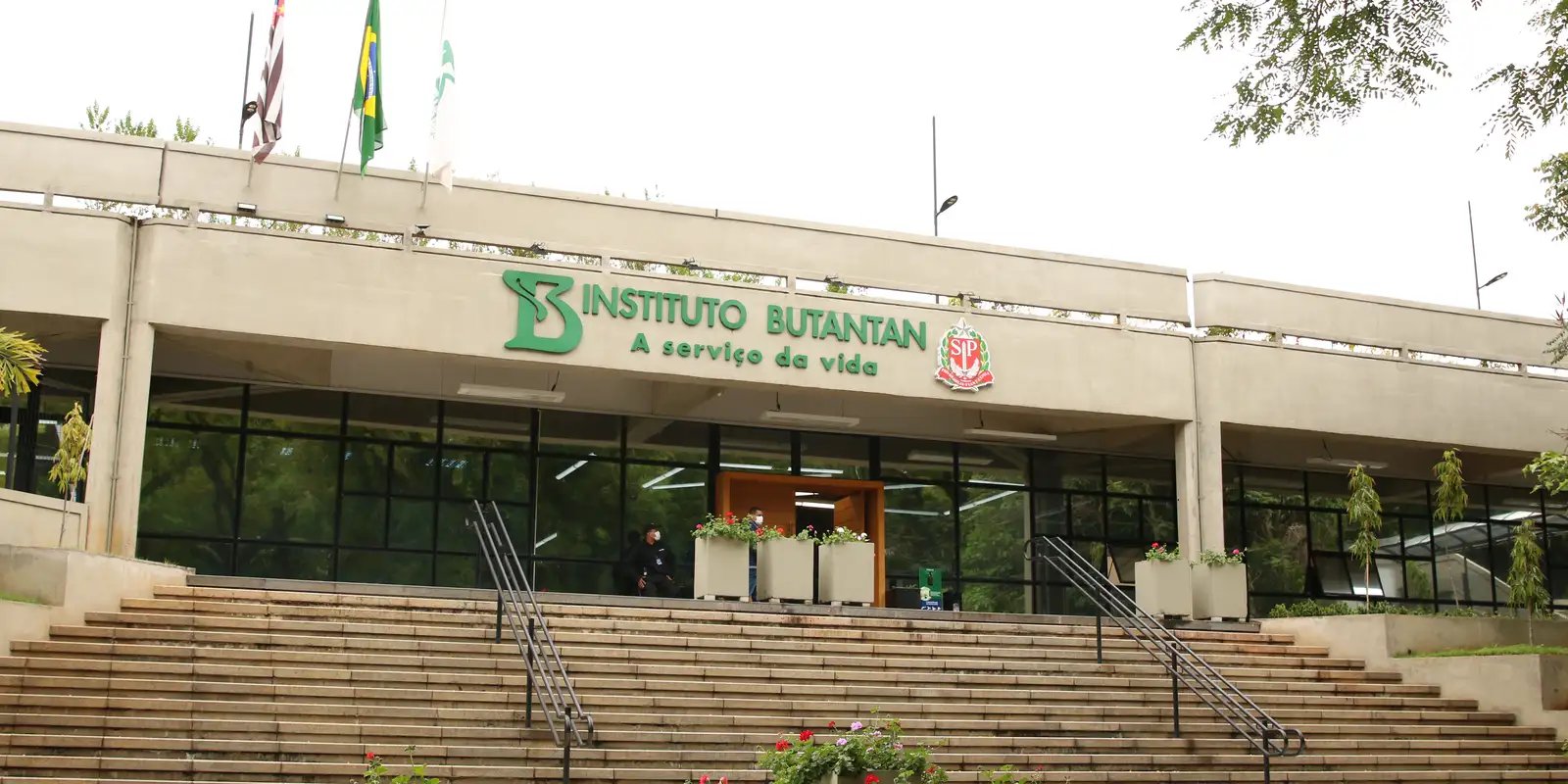 butantan-produzira-remedio-contra-cancer-para-o-sus