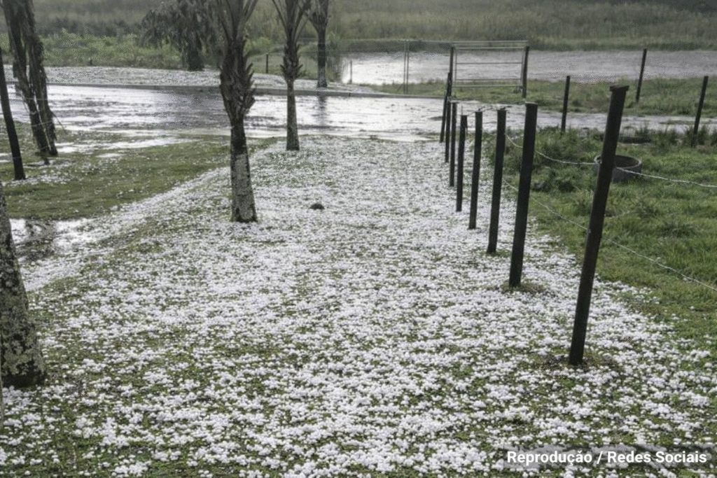 temporal-atinge-litoral-e-interior-de-sp-e-provoca-impactos-em-diferentes-regioes