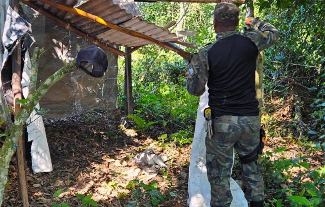 guarda-municipal-faz-retirada-de-acampamento-irregular-em-area-de-amortecimento-do-parque-atalaia