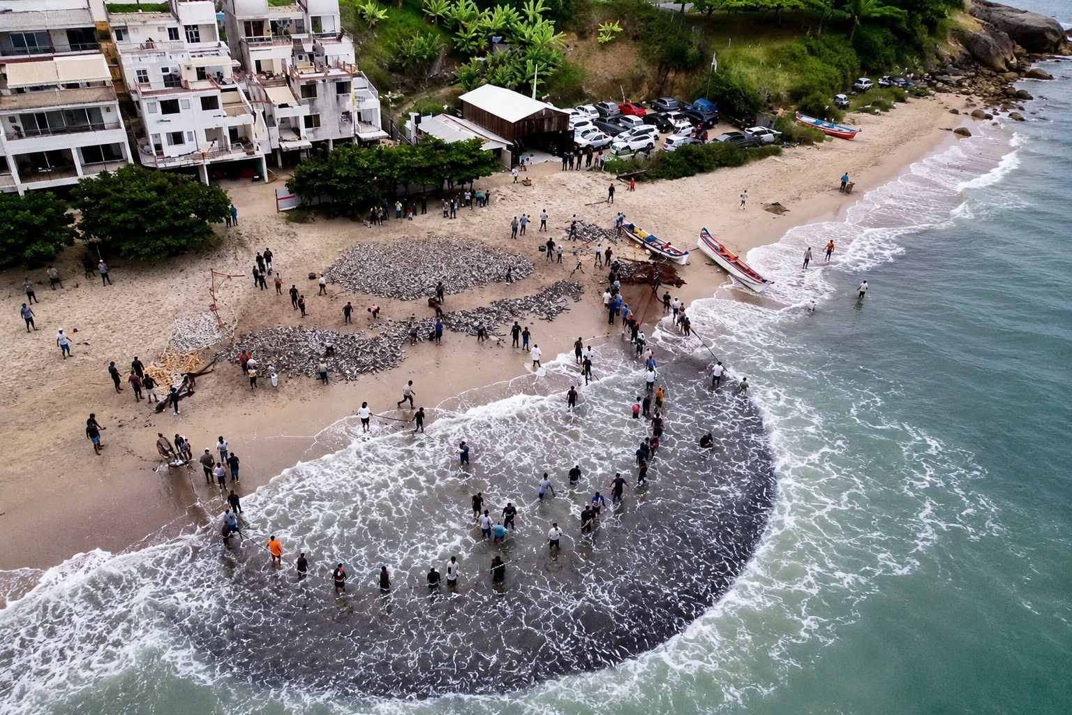 primeiro-grande-lanco-de-tainha-de-2026-rende-cerca-de-20-mil-peixes-em-bombinhas