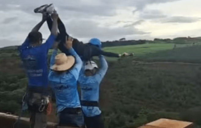 jovem-que-postou-‘quem-foi-o-doido-que-me-deixou-vir?’-morre-em-salto-de-ponte
