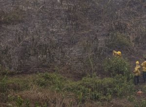defesa-civil-realiza-missao-nos-estados-da-amazonia-legal-e-pantanal