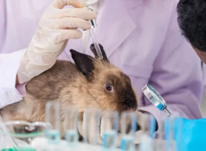 lula-sanciona-lei-que-proibe-testes-em-animais-para-cosmeticos