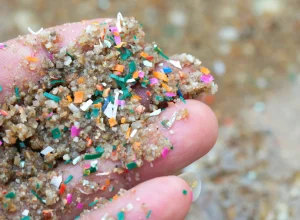 microplasticos-podem-prejudicar-memoria-e-funcoes-cerebrais,-diz-estudo