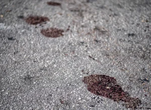 torcedor-do-vasco-morre-apos-ser-baleado-antes-de-classico-com-o-botafogo-pela-copa-do-brasil