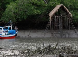 cop30-coloca-amazonia-e-sustentabilidade-no-centro-do-debate
