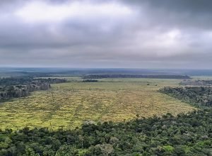 em-40-anos,-amazonia-perdeu-equivalente-ao-territorio-da-franca